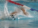 DSC02481_640x480.jpg