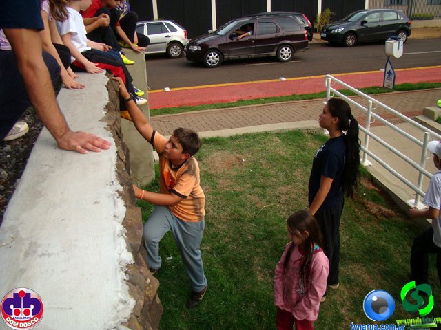 DSC04382.jpg