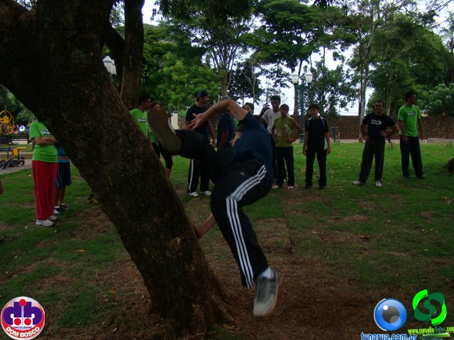 DSC04435.jpg