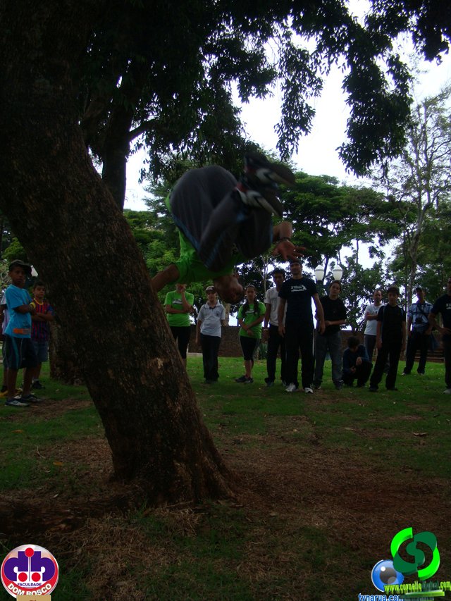 DSC04445.jpg