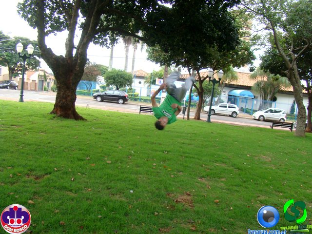 DSC04454.jpg