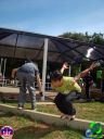 DSC04082.jpg