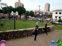 DSC04322.jpg