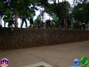 DSC04365.jpg