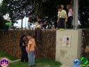DSC04368.jpg