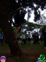 DSC04446.jpg