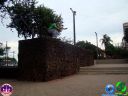 DSC04550.jpg