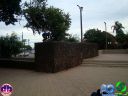 DSC04572.jpg