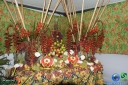 DSC00856.jpg