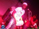 DSC08450.jpg