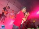 DSC08451.jpg
