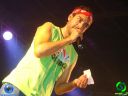 DSC02447.jpg