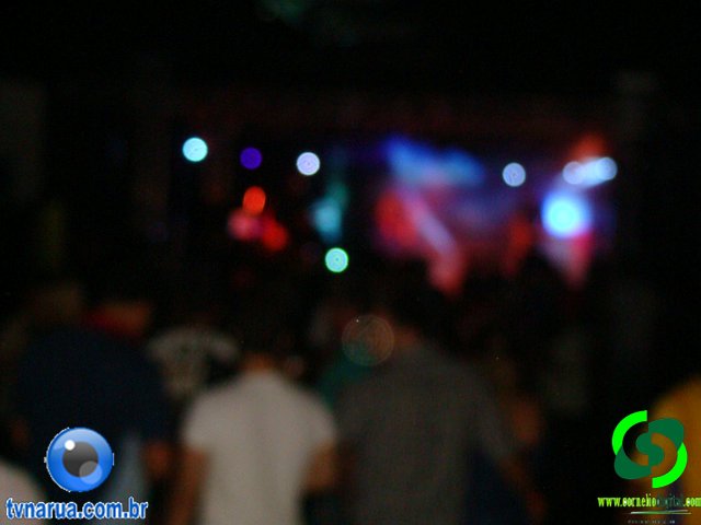 DSC07533.jpg