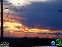 DSC03180.jpg