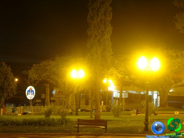 DSC00262.jpg