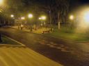 DSC04761.jpg