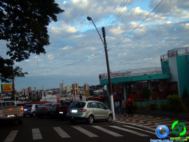 DSC01442.jpg