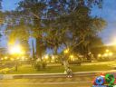 DSC01556.jpg
