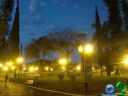 DSC01564.jpg