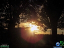 DSC06269.jpg