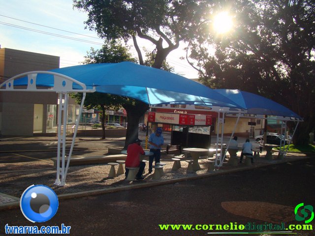 DSC05523.jpg