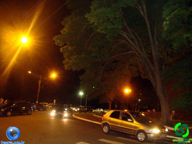 DSC03531.jpg