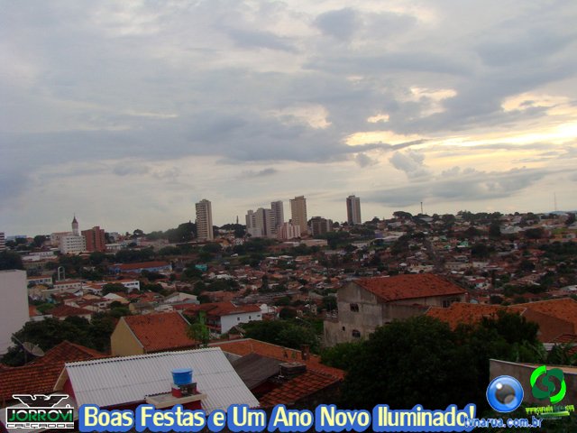 DSC08766.jpg