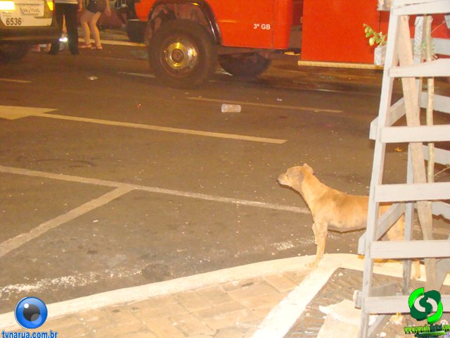 DSC00359.jpg