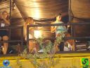 DSC01734.jpg