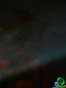 DSC09560.jpg