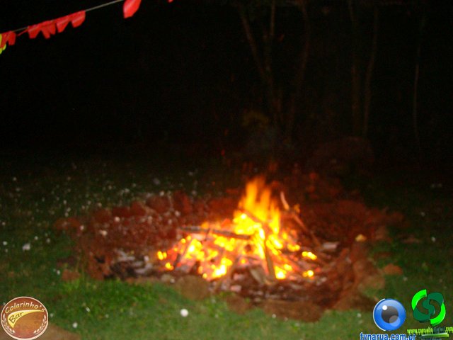 DSC01620.jpg