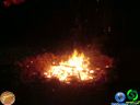 DSC01621.jpg