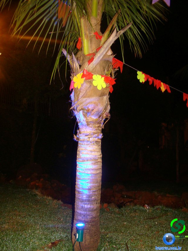 DSC05372.jpg