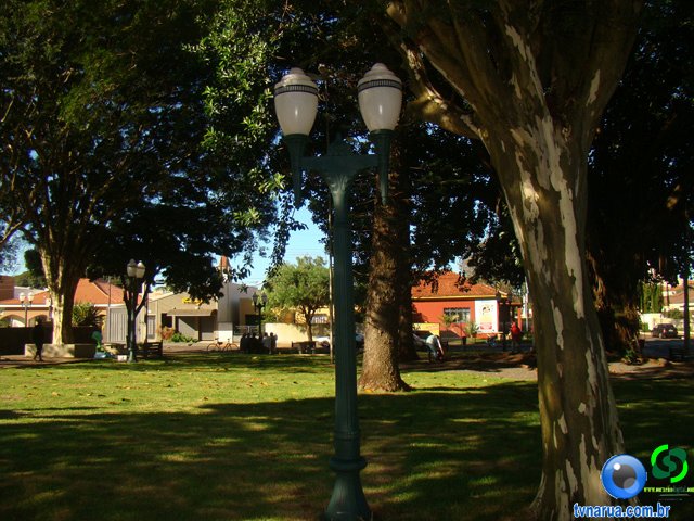 DSC02338.jpg