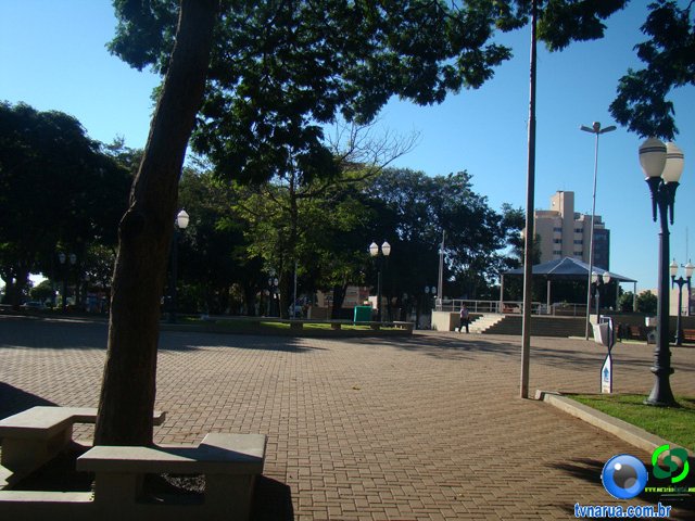 DSC02339.jpg