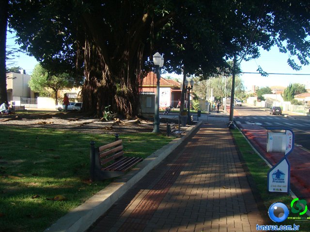 DSC02342.jpg