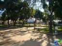 DSC02334.jpg