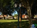 DSC02338.jpg