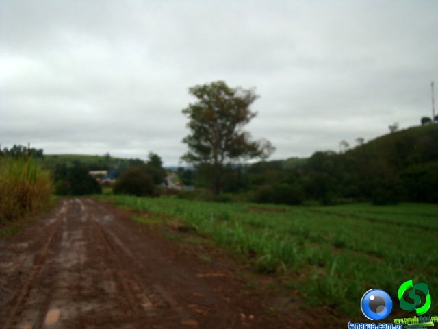 DSC04653.jpg