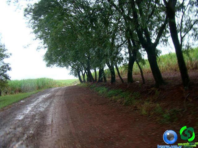 DSC04666.jpg