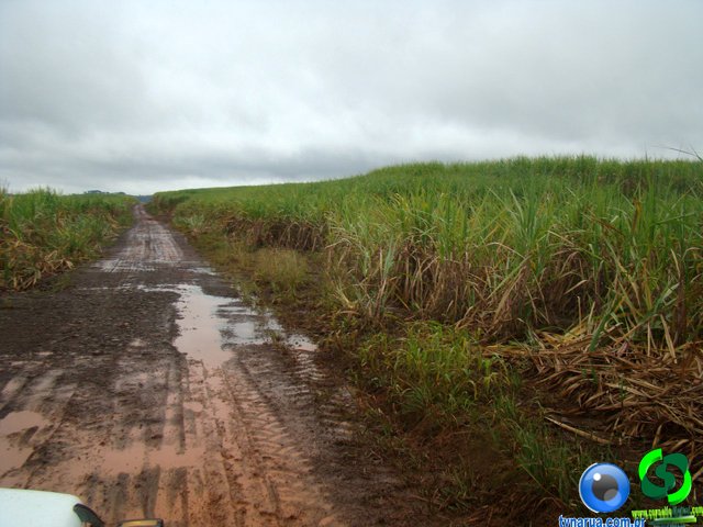 DSC04670.jpg