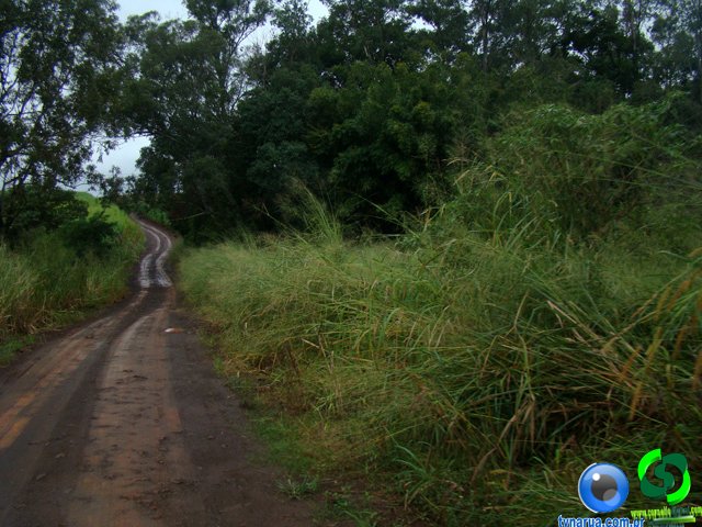 DSC04673.jpg