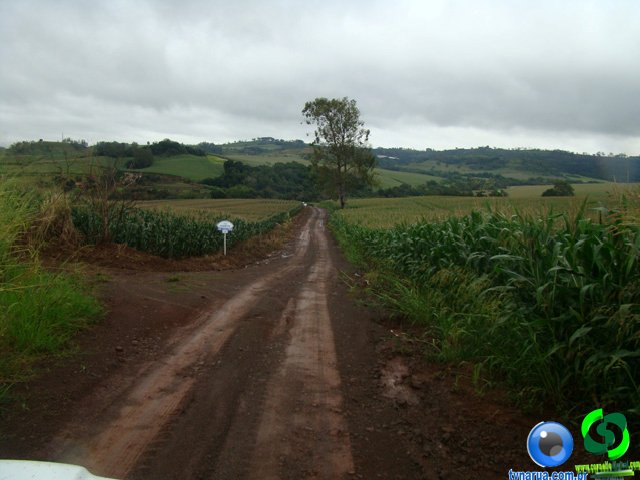 DSC04675.jpg