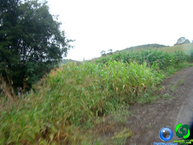 DSC04676.jpg