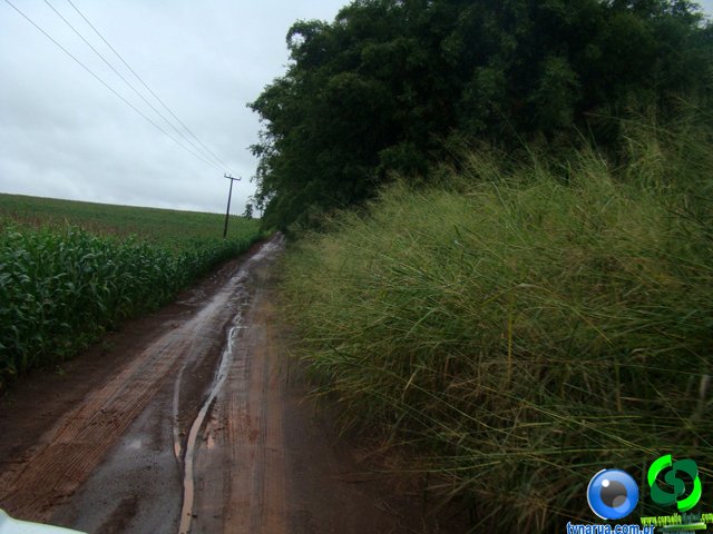 DSC04679.jpg