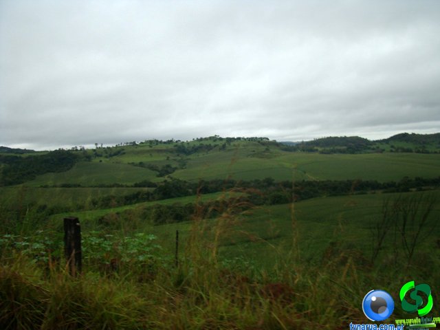 DSC04682.jpg