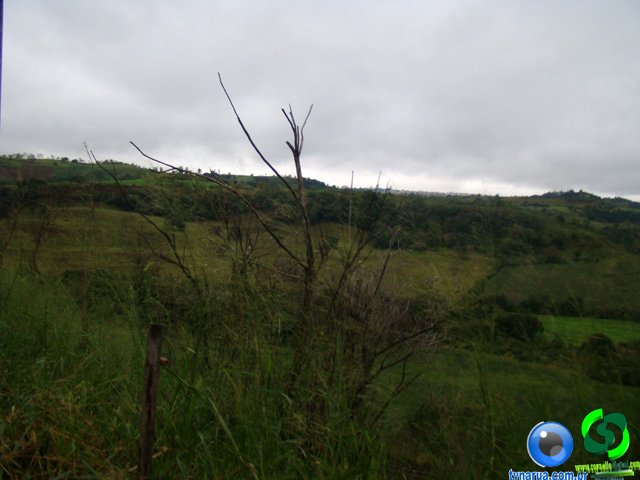 DSC04683.jpg