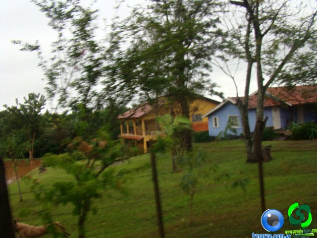 DSC04690.jpg