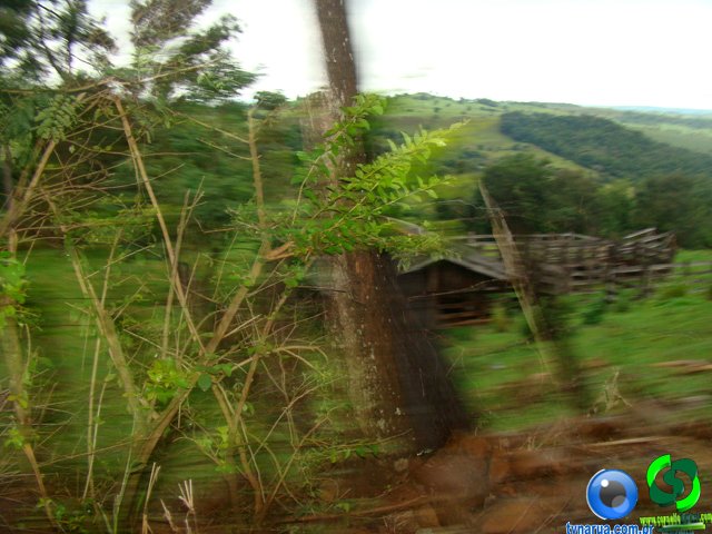 DSC04702.jpg