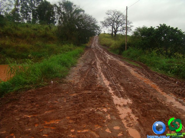 DSC04720.jpg